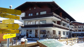 Apartments Alphotel Mittersill # inklusive Sommercard #